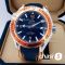 Часы Omega Seamaster Planet Ocean (10736)