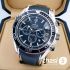 Часы Omega Seamaster Planet Ocean (15313)
