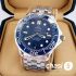 Часы Omega Seamaster (22840)